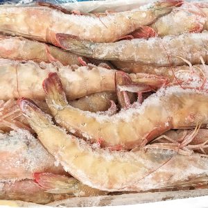 Langostino Senegal Nº1 ( Salvaje) 2Kg