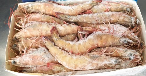 Langostino Senegal Nº1 ( Salvaje) 2Kg